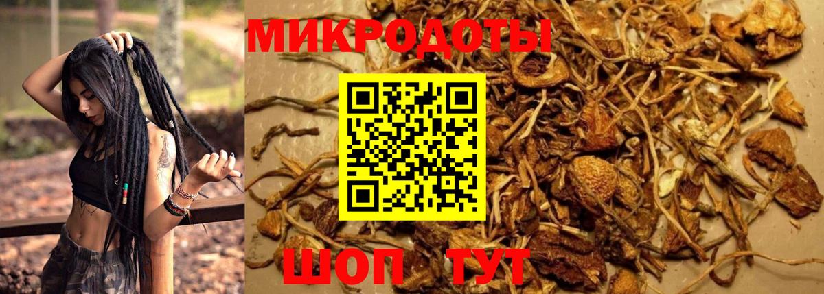 Псилоцибиновые грибы Magic Shrooms Рубцовск